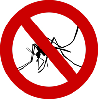 instalacion de mosquiteras antimosquitos e insectos